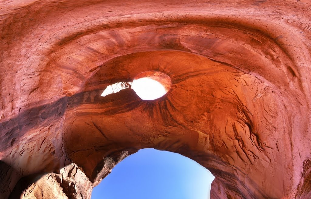 nature eagle eye Image