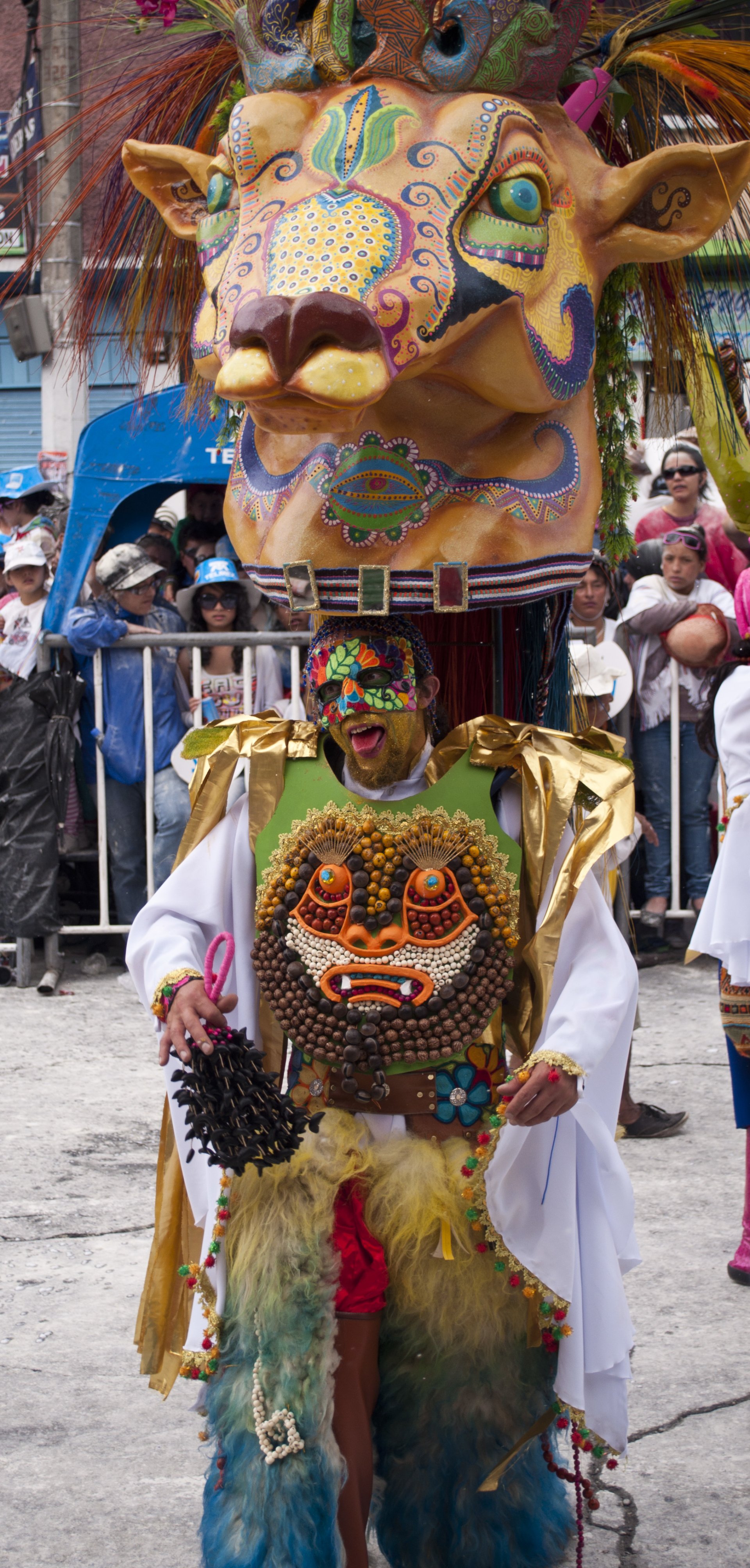 Expresión Carnaval Pasto Image - ID: 272788 - Image Abyss