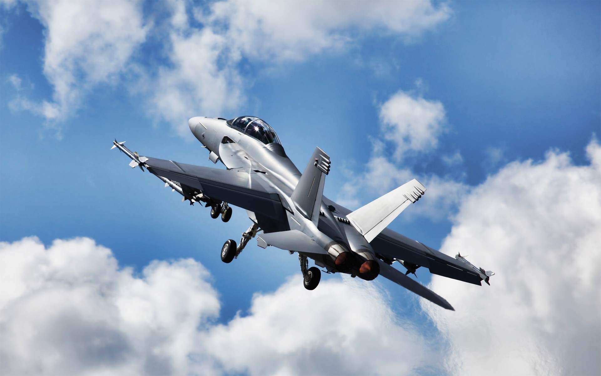 Boeing F/A-18E/F Super Hornet Picture