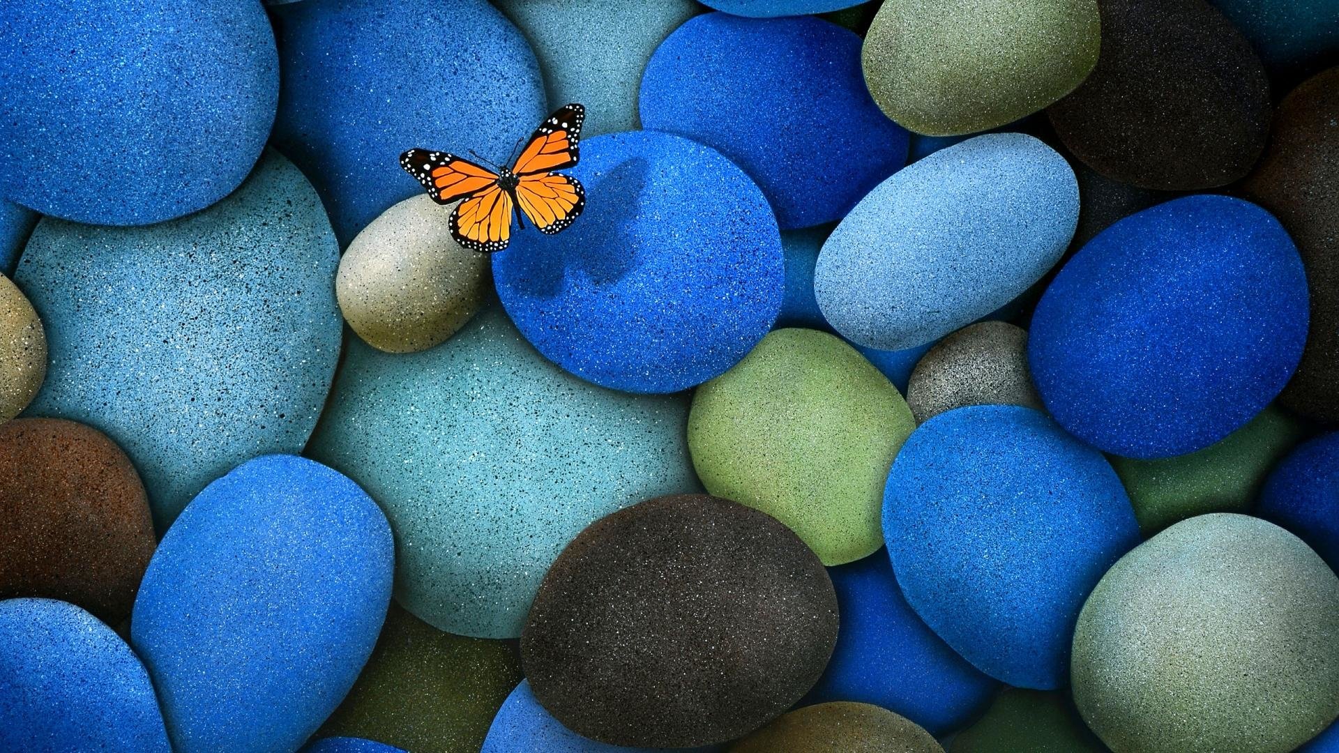 A vibrant butterfly rests atop a mosaic of smooth, blue-toned stones, creating a striking contrast with the colorful pebbles beneath.