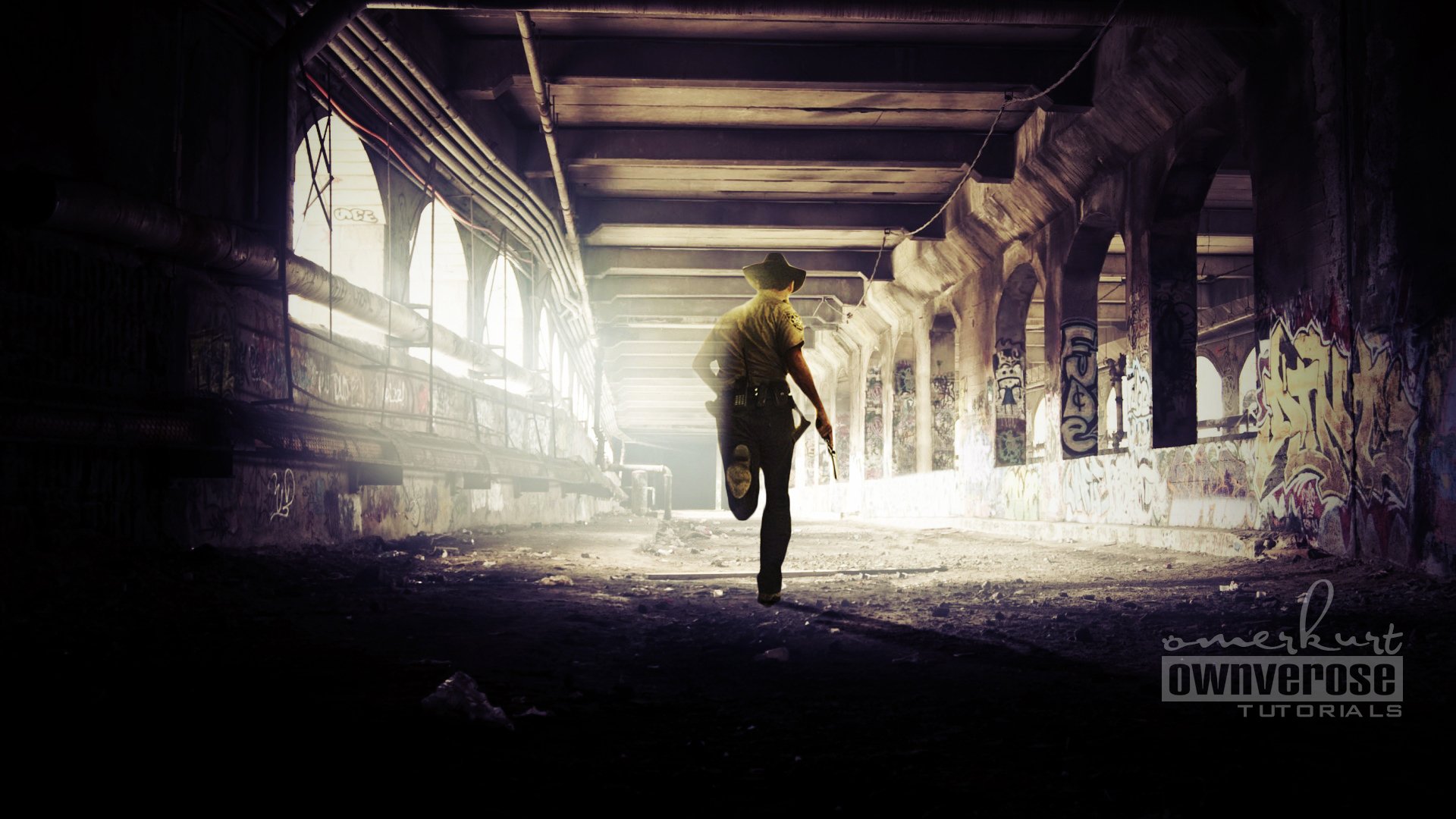 TV Show the wlaking dead Image
