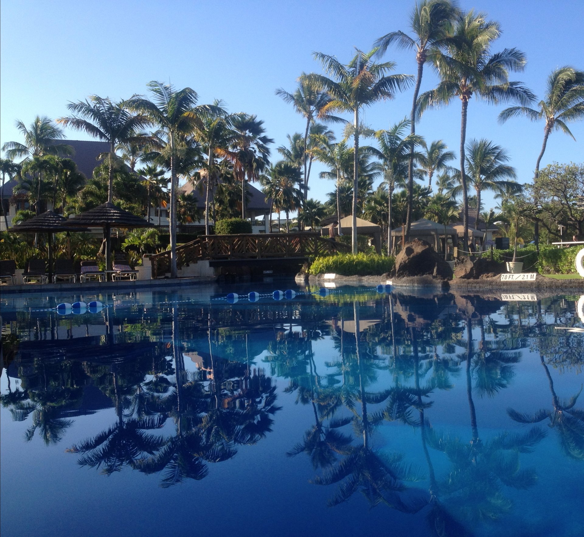 Photography of a serene holiday resort featuring tall palm trees reflected in a calm, blue swimming pool under a clear sky.