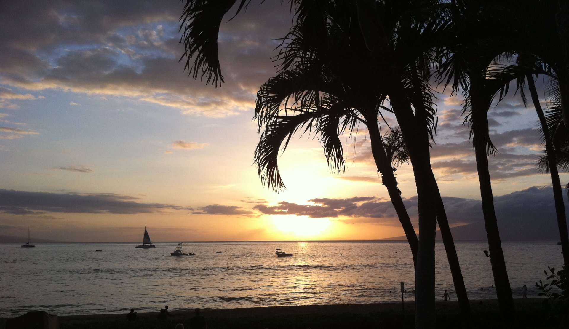 A serene beach scene at sunset, featuring silhouetted palm trees and boats on the water, with a vibrant sky transitioning from orange to deep blue.