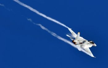 Preview Image 273641