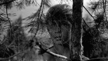 Preview Image 273727