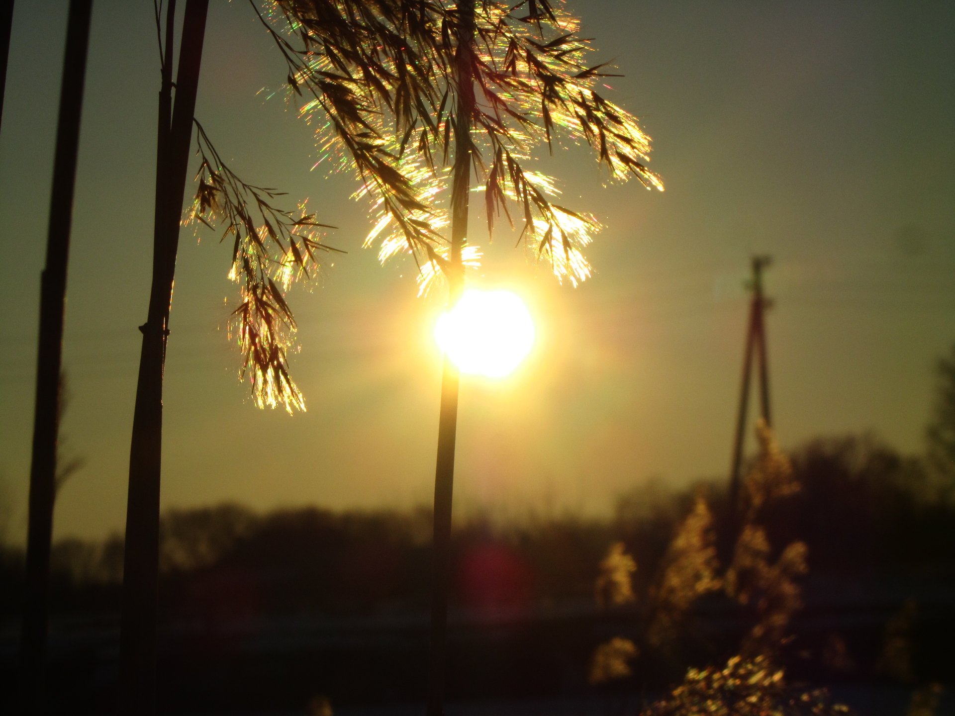 Download Nature Sunbeam Image