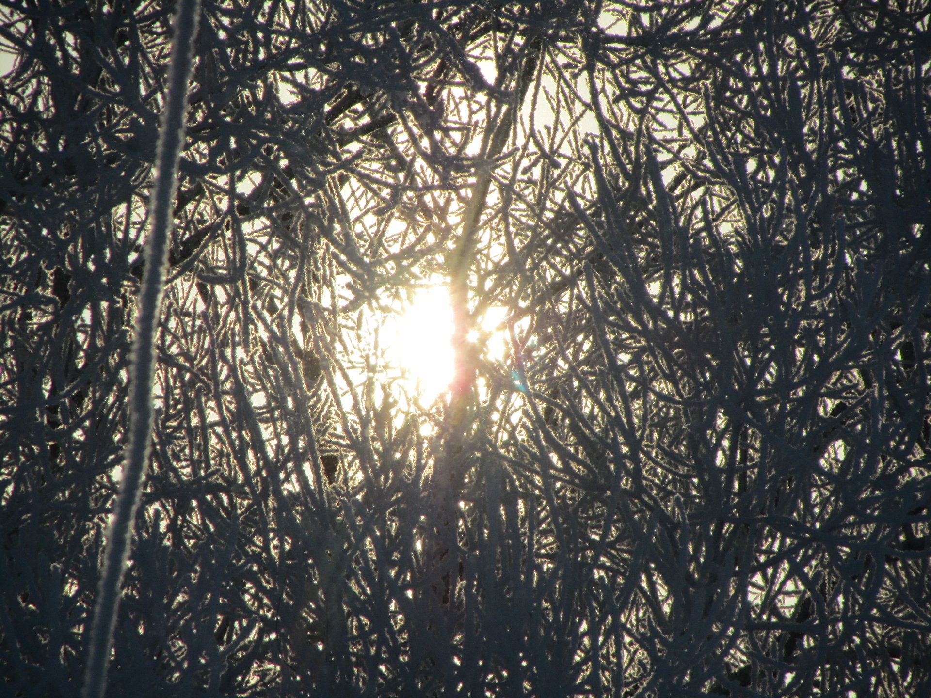 Download Nature Sunbeam Image