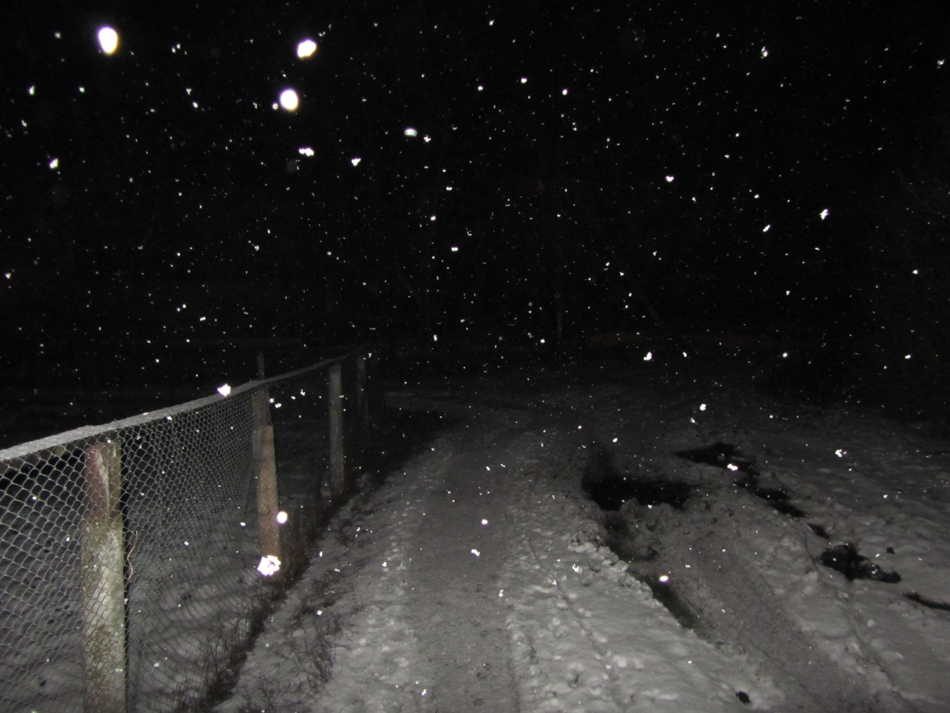 nature night Image