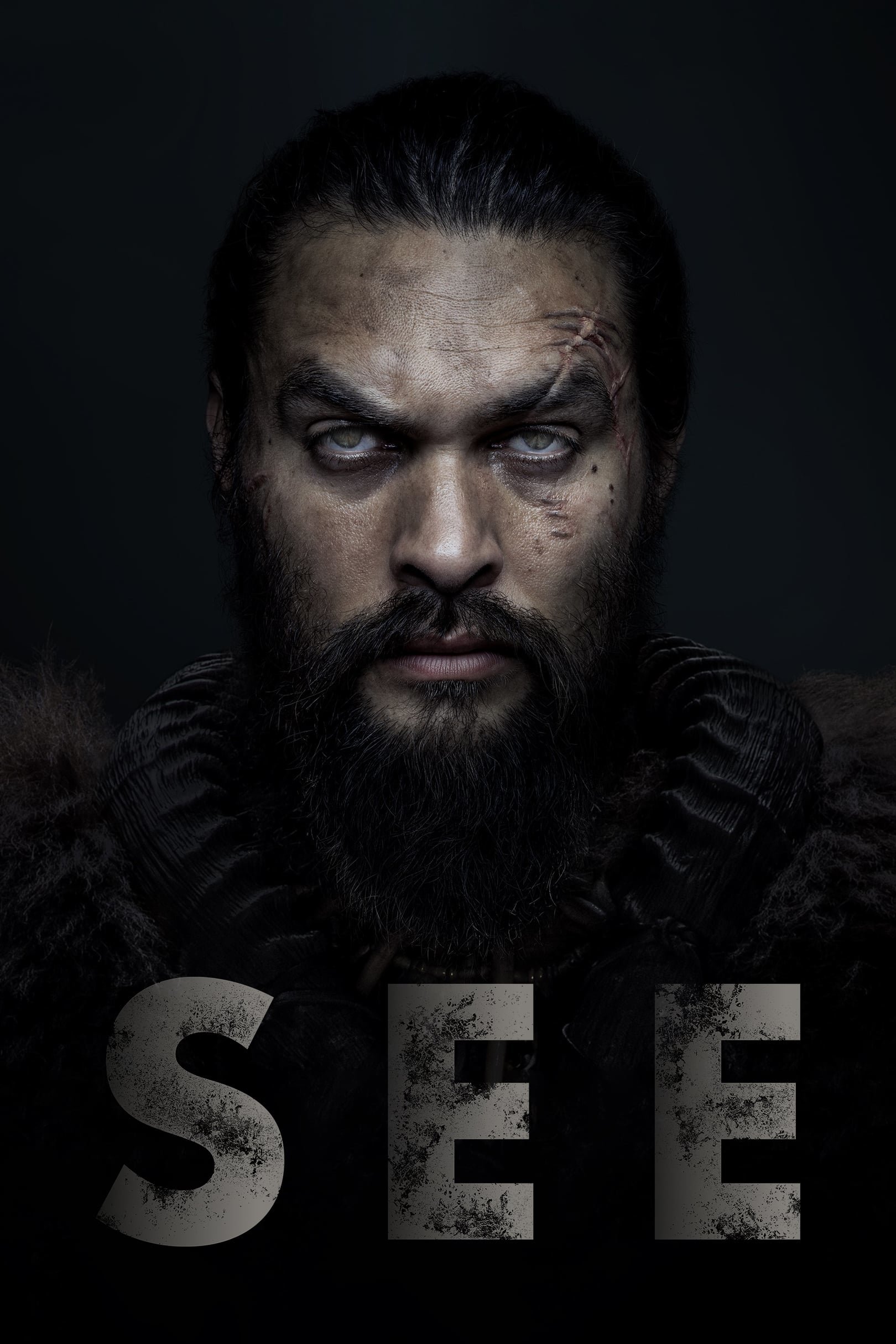 TV Show See Image