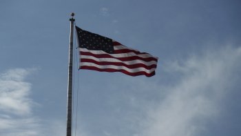 Preview Image 274827