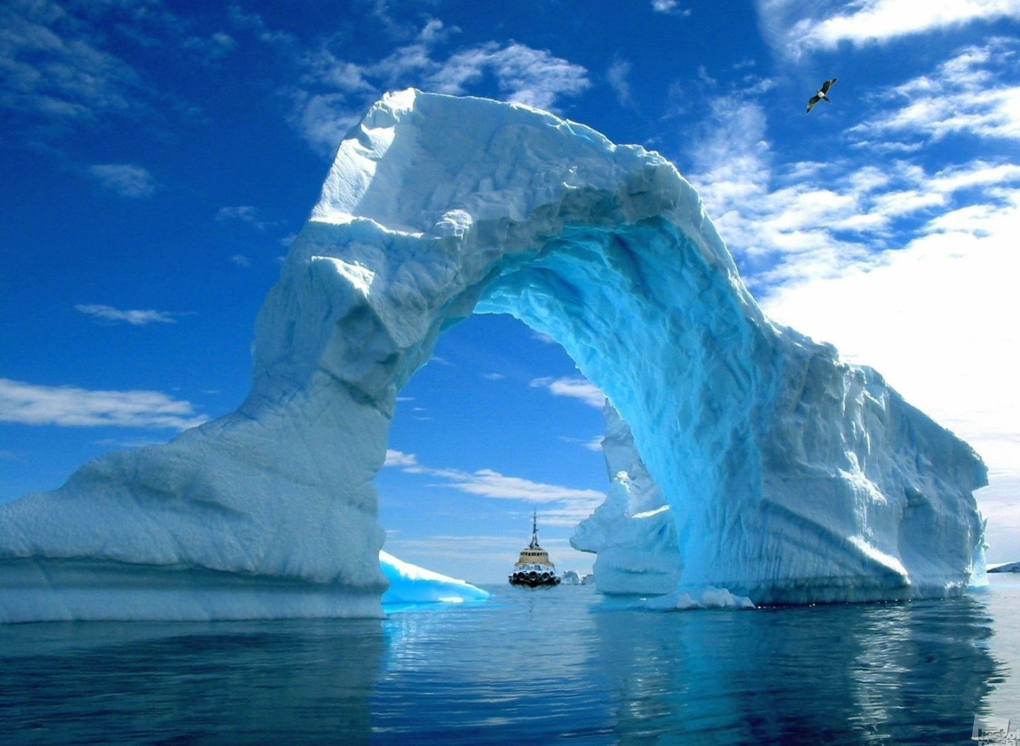 Белое чудо природы. Ледовитый океан Айсберг. Арктика. Красота Арктики. Ворота Арктики.