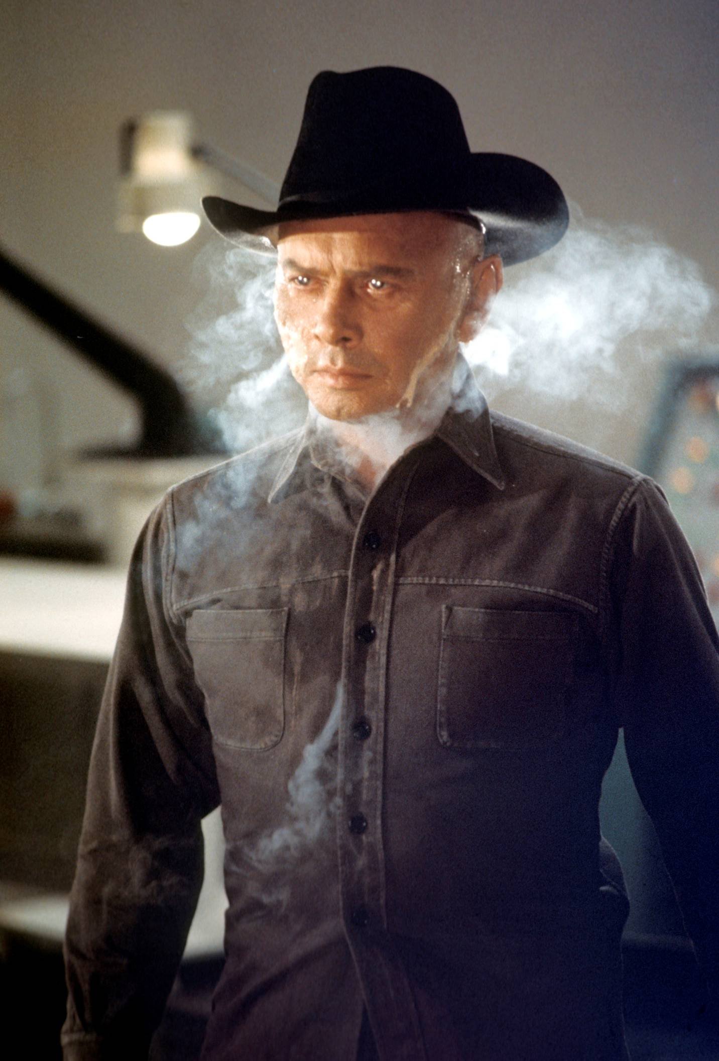 movie Westworld Image