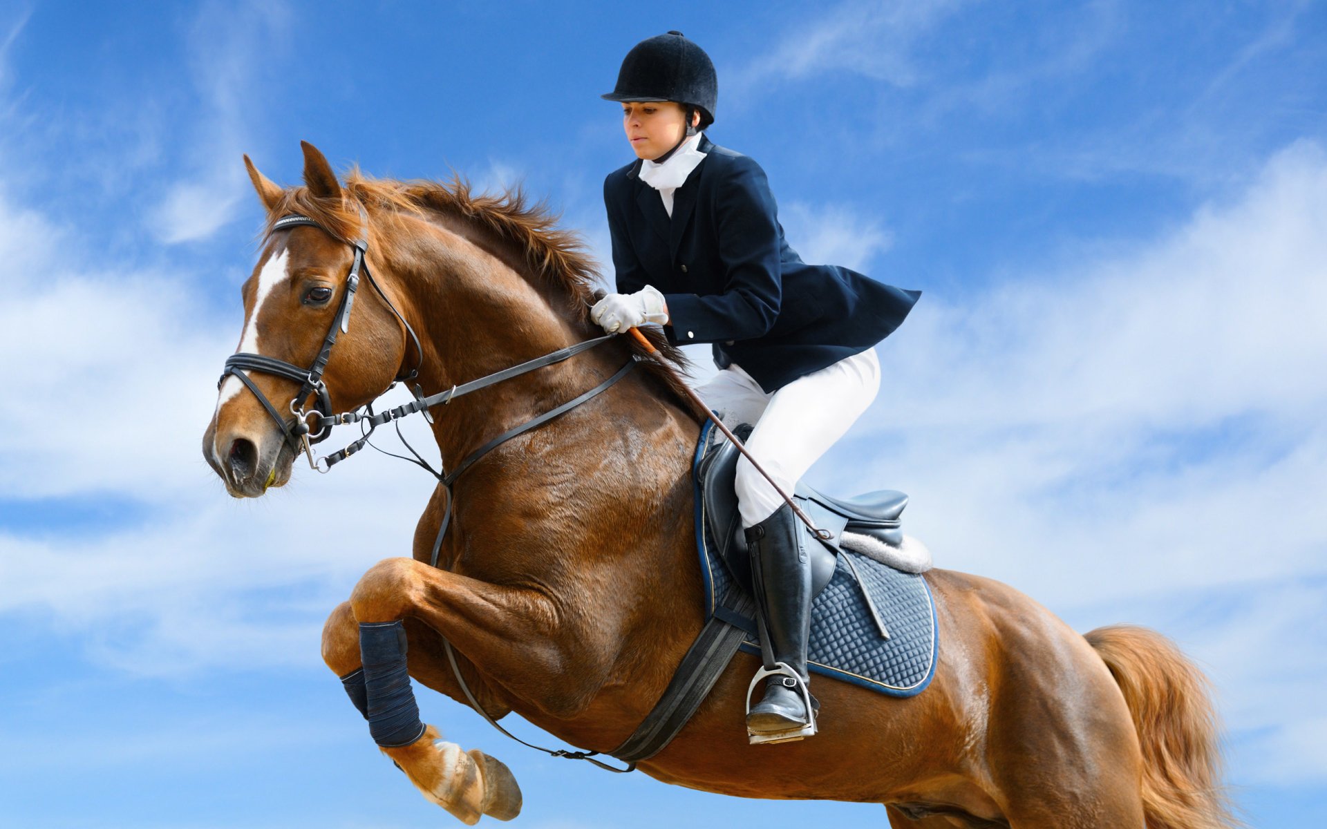 Show Jumping sports scene: a rider in helmet and jacket guides a chestnut horse mid-air over a jump against a bright blue sky.