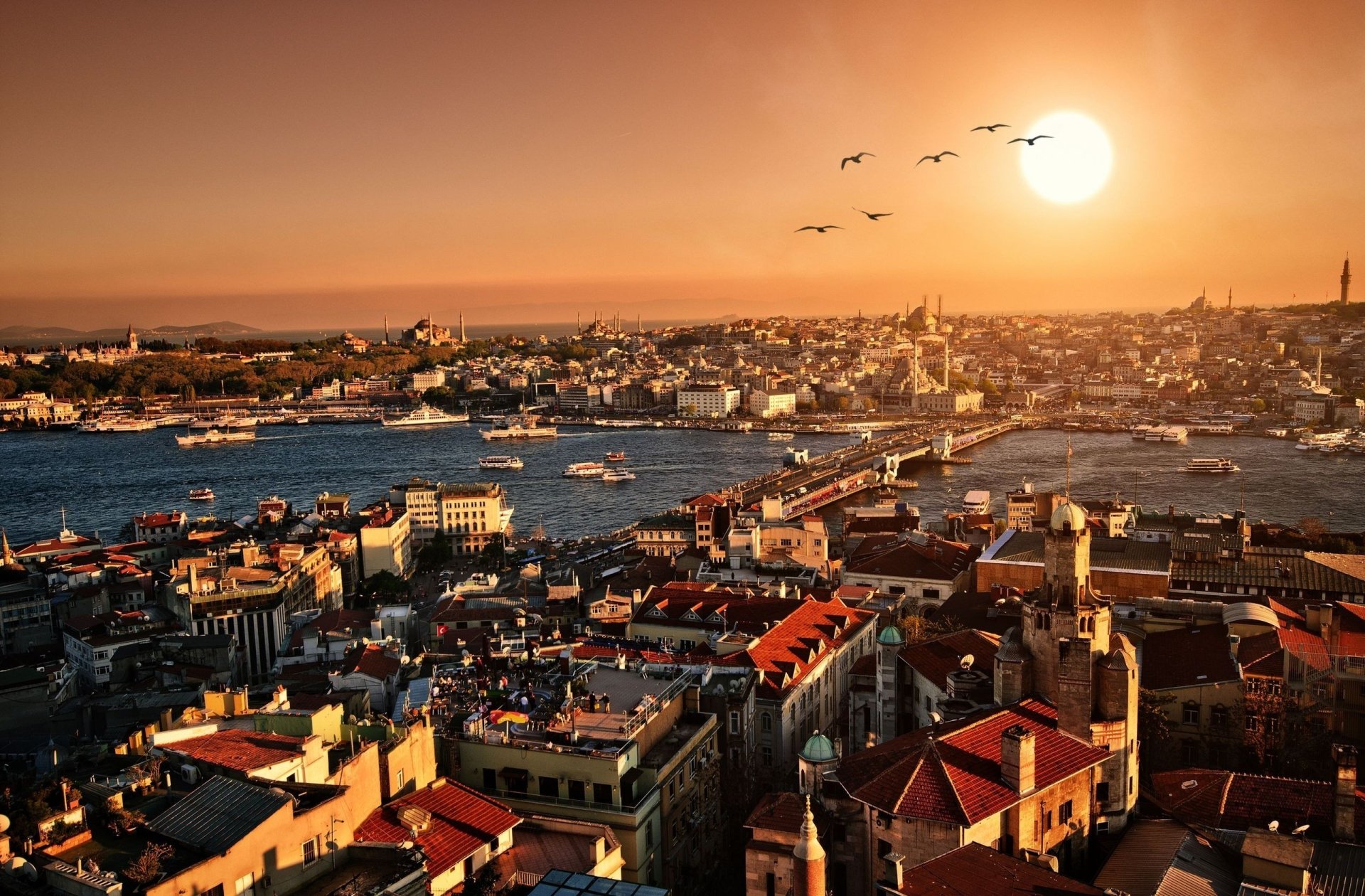 Turkey (Country) man made Istanbul Image