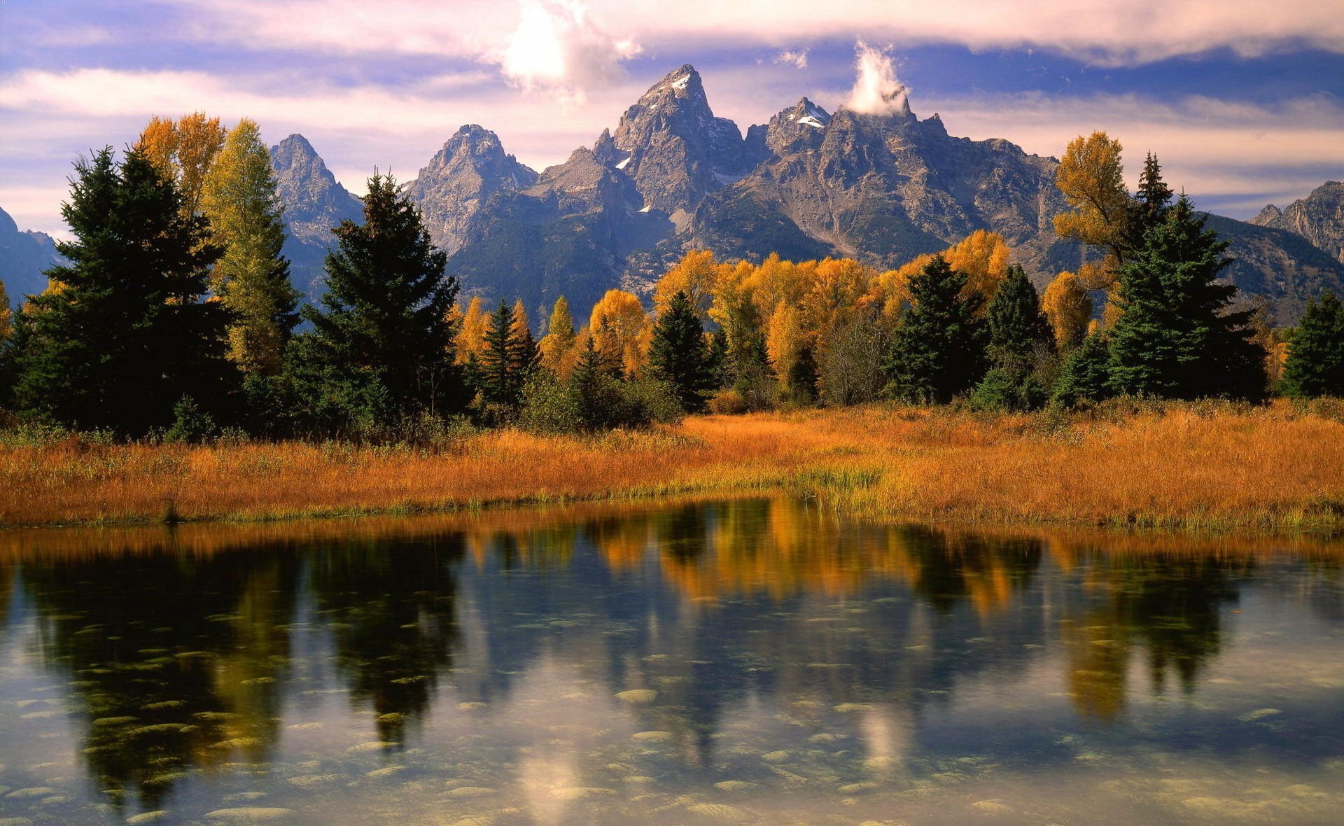 nature reflection Image