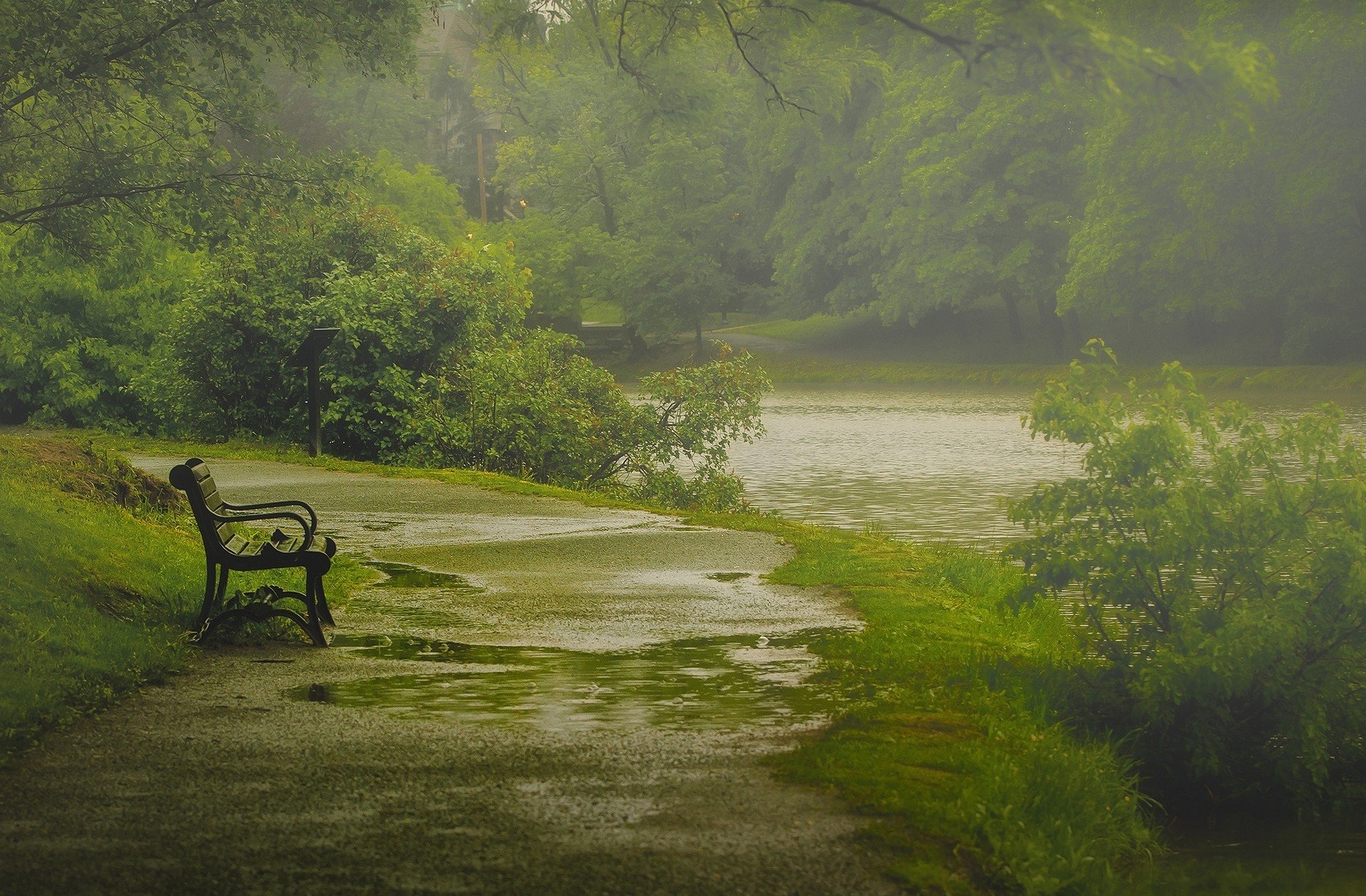 A foggy park scene with a wet pathway, an empty bench, and a calm river surrounded by lush green trees.