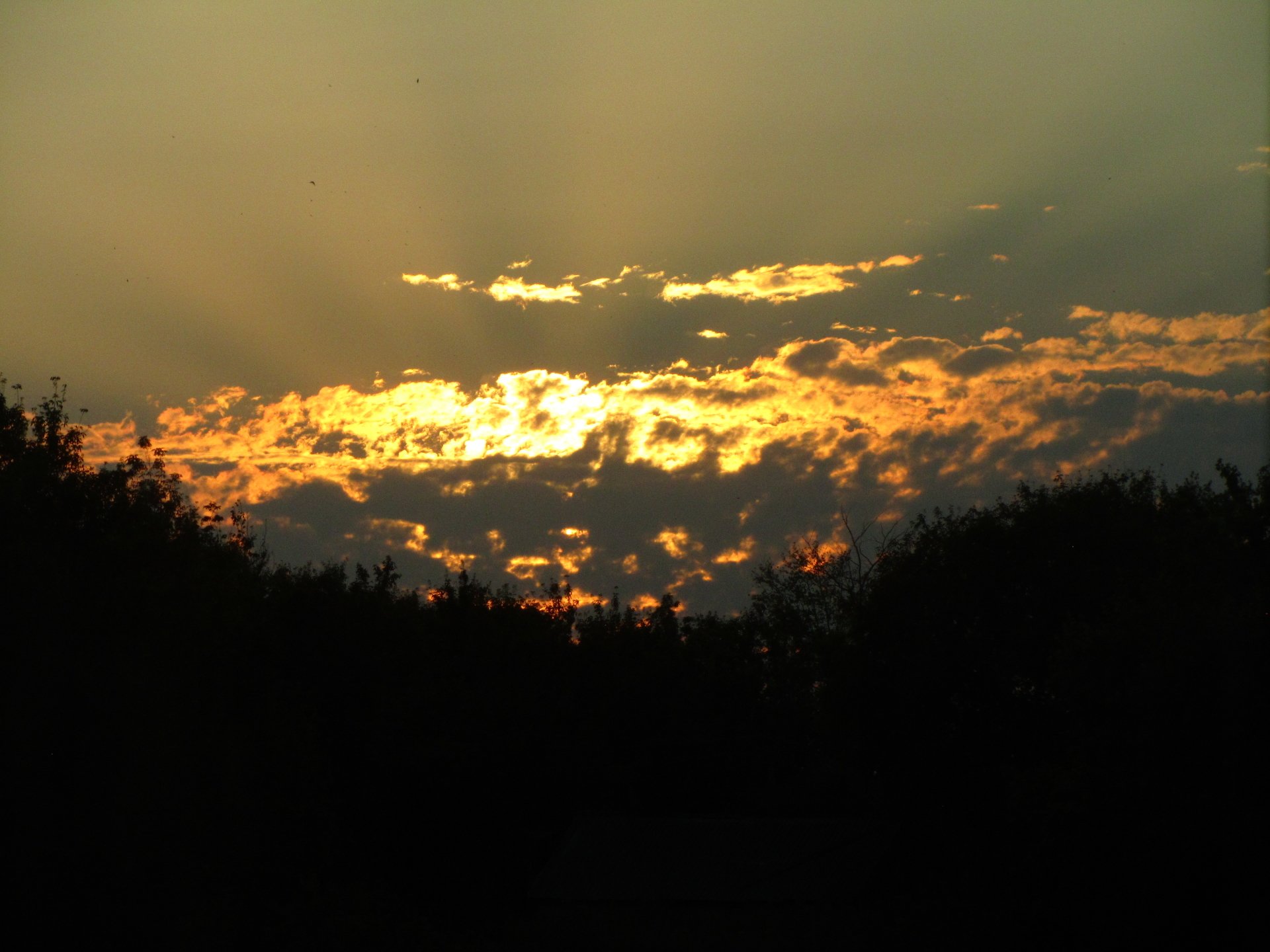 Download Nature Sunset Image