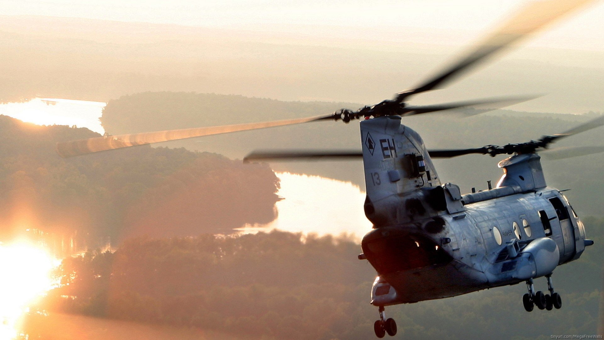 helicopter military Boeing Vertol CH-46 Sea Knight Image