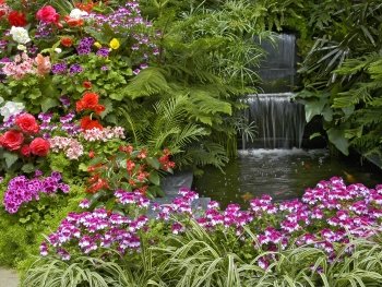 Preview Image 275103