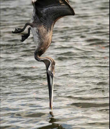 Preview Image 275177