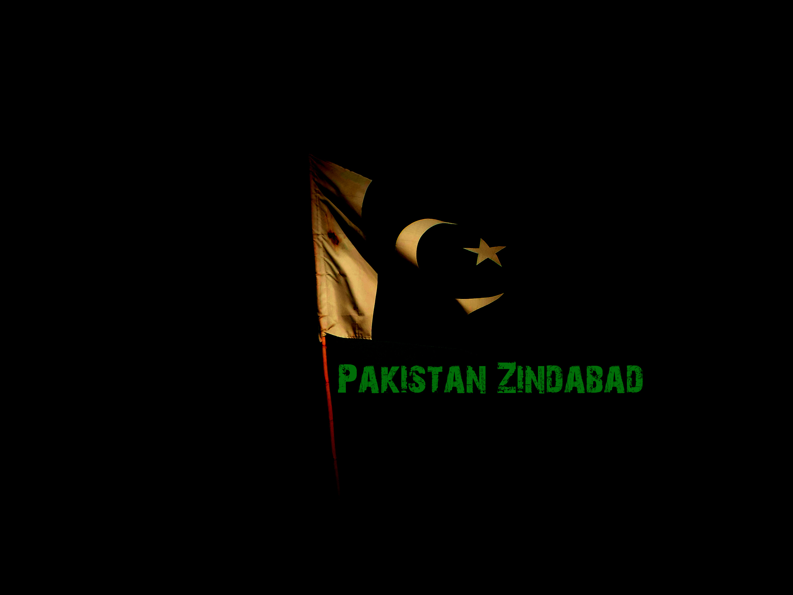 Pakistan Flag by Hashim_Ali