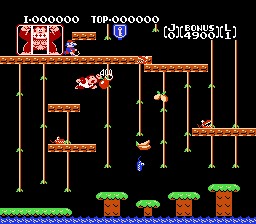 Donkey Kong Jr. Picture - Image Abyss