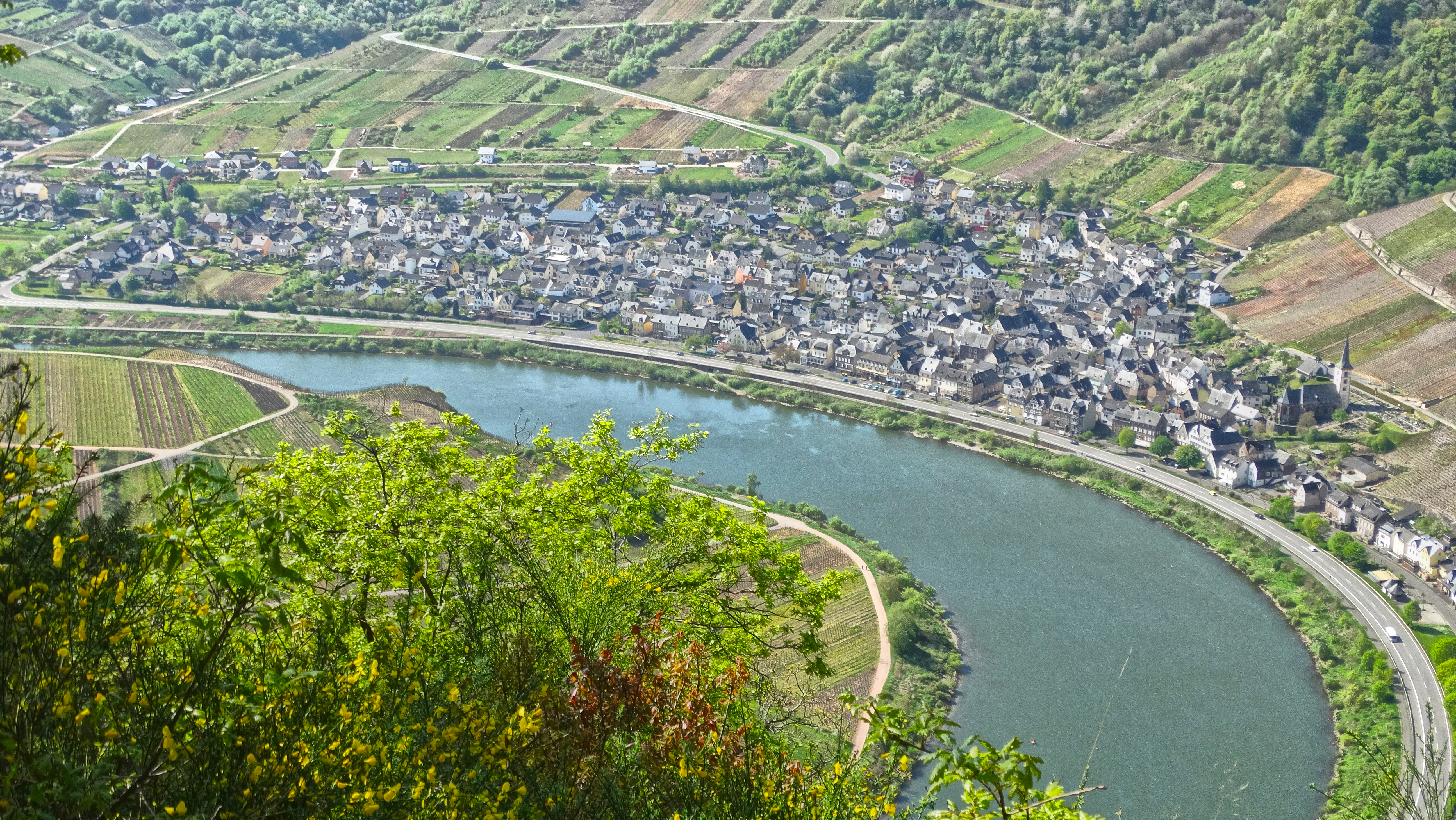 Village of Bremm, Mosel (D) by Eggy