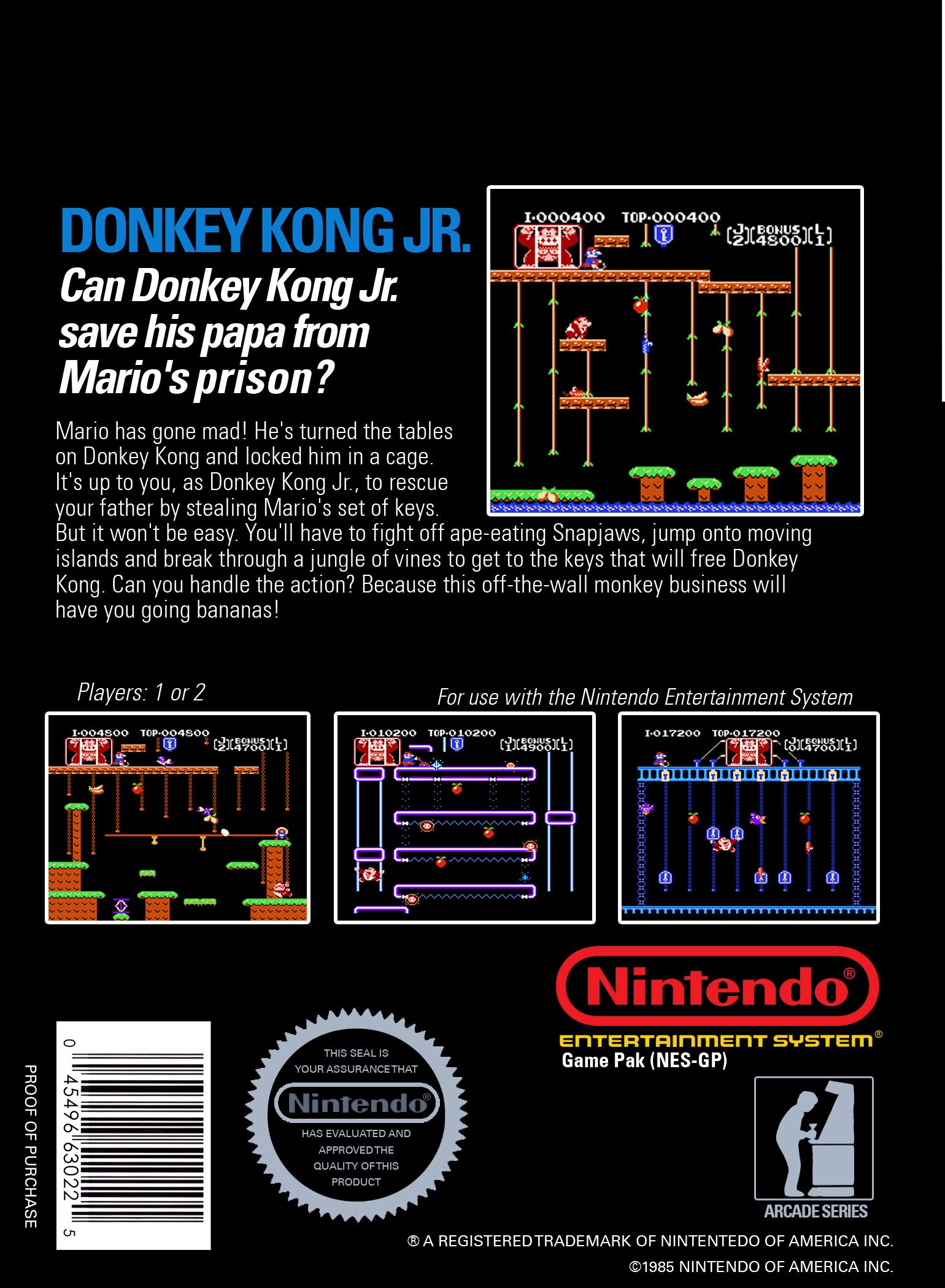 video game Donkey Kong Jr. Image