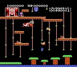 video game Donkey Kong Jr. Image