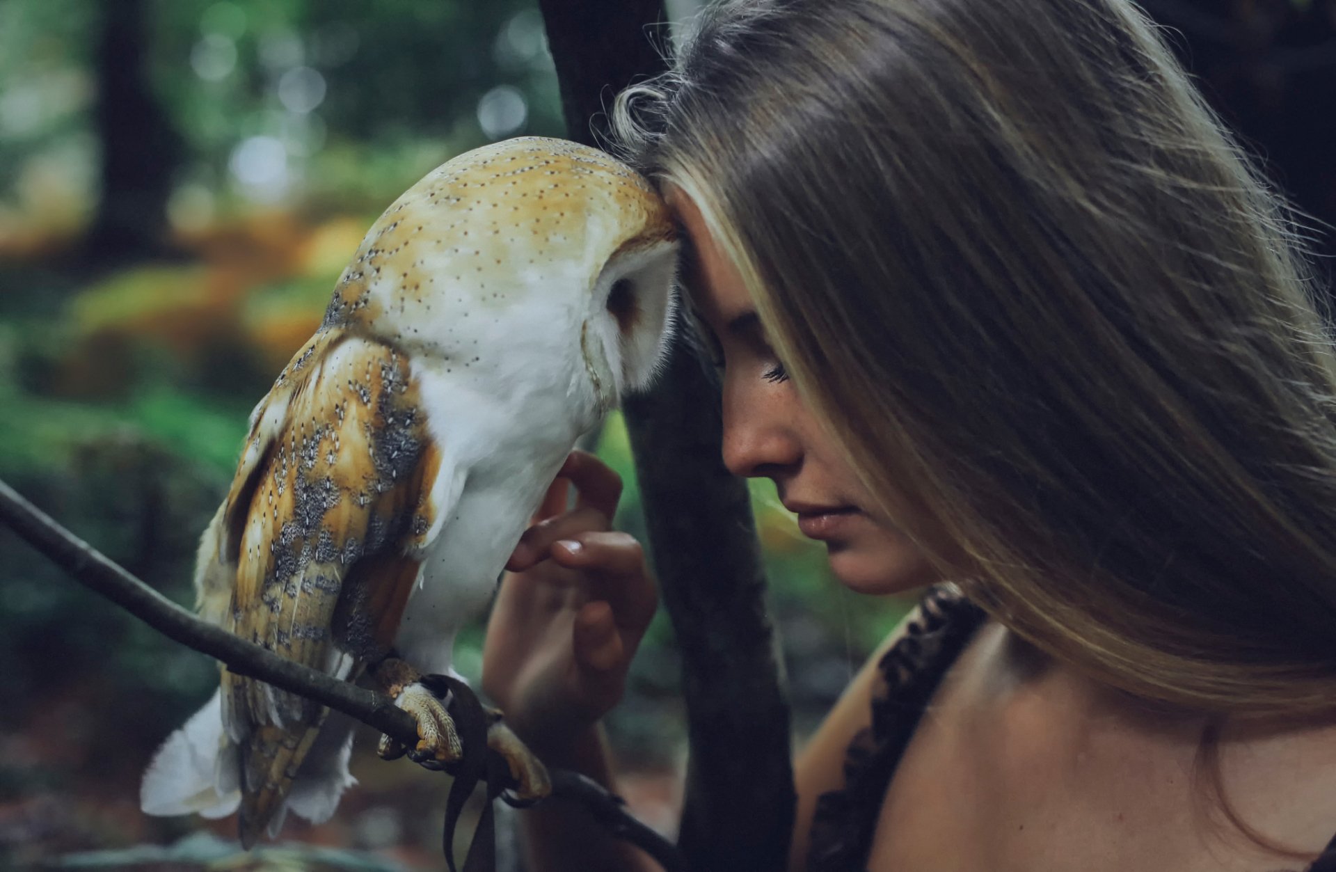 A woman gently touches foreheads with a barn owl perched on a branch, captured in a serene outdoor photography setting.