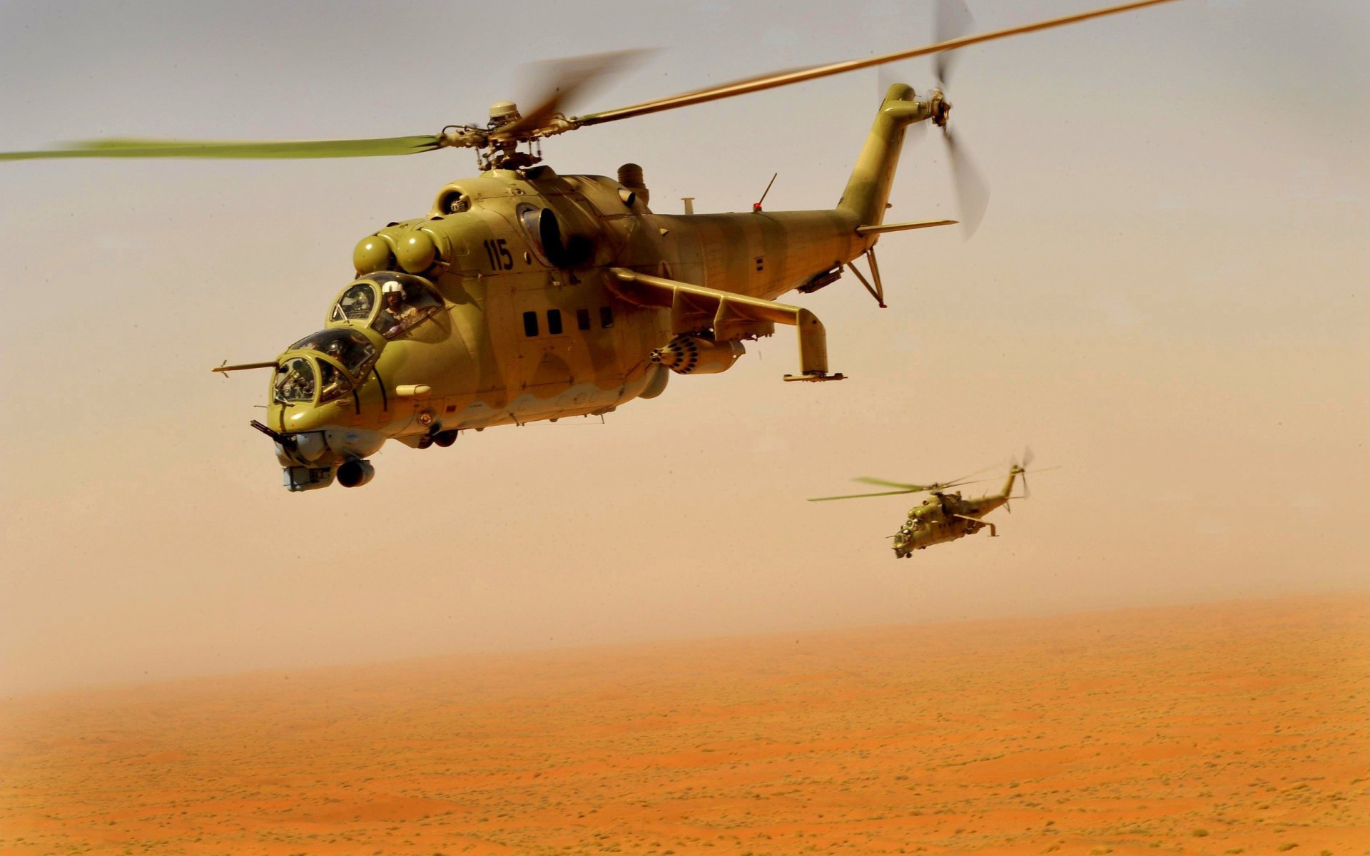military Mil Mi-24 Image