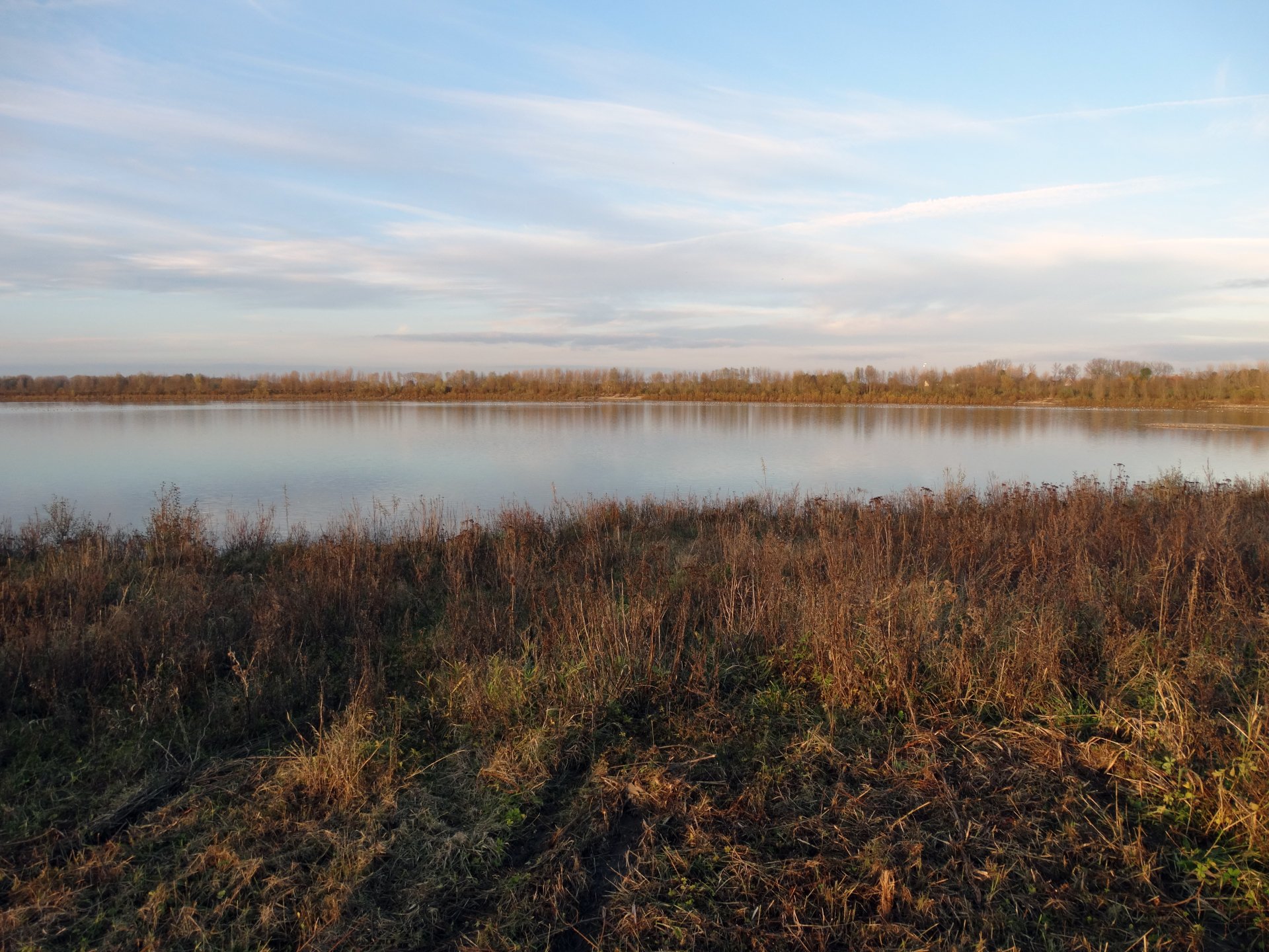  Bird reserve De Wissen (B)