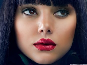Preview Image 276056