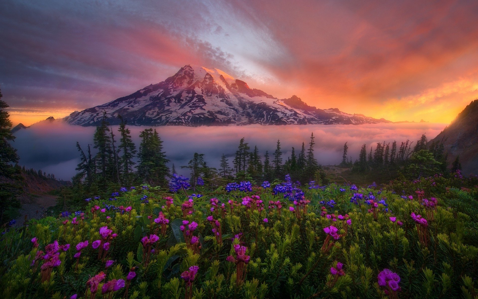 A vibrant mountain landscape at sunset with wildflowers in the foreground and mist surrounding the peak, showcasing the beauty of nature.