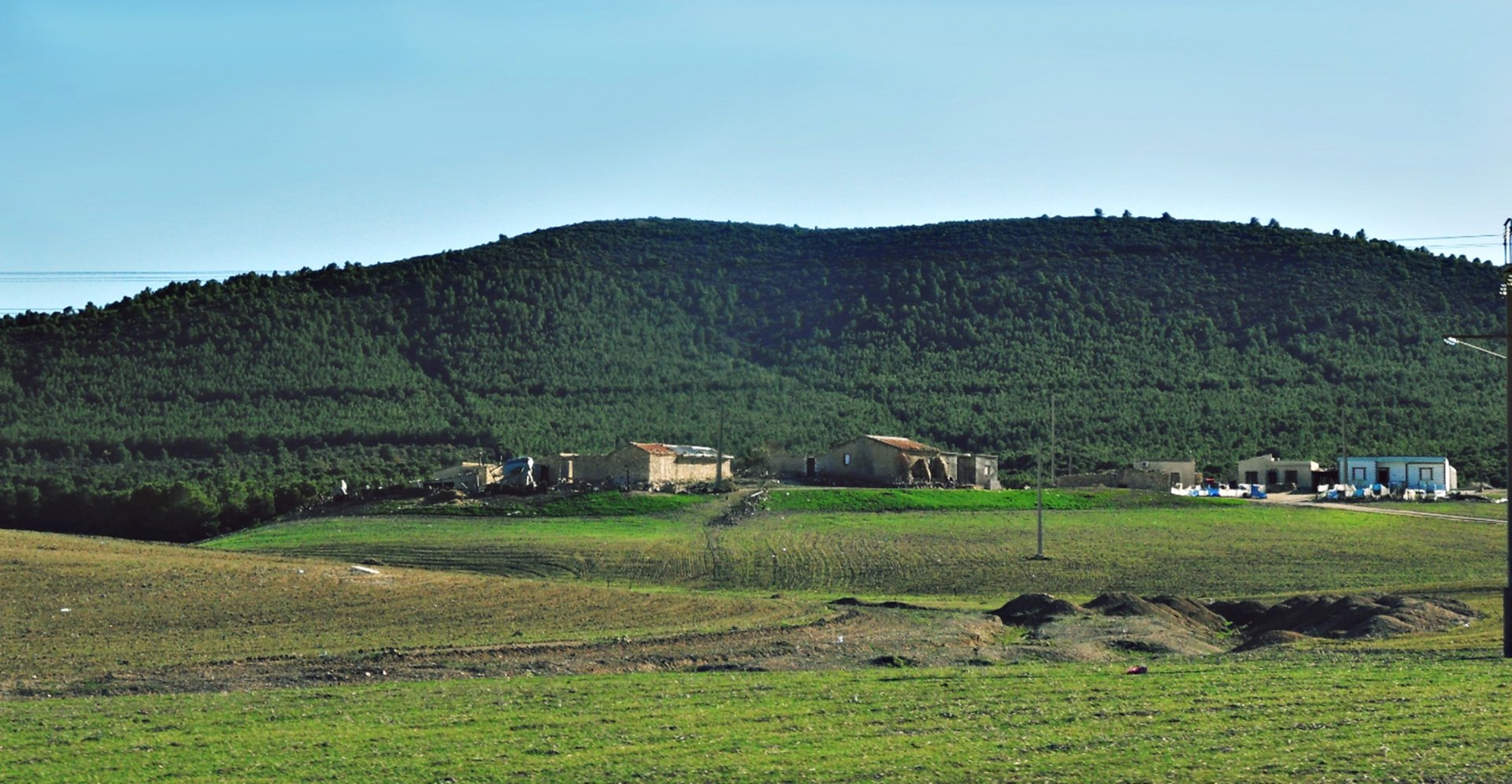 Rolling green fields and a low hill in the Oum el Bouaghi countryside, Algeria, dotted with a few farm buildings beneath a pale blue sky.
