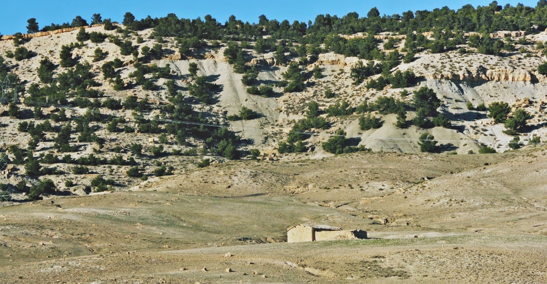  Ain Fodda - Tebessa