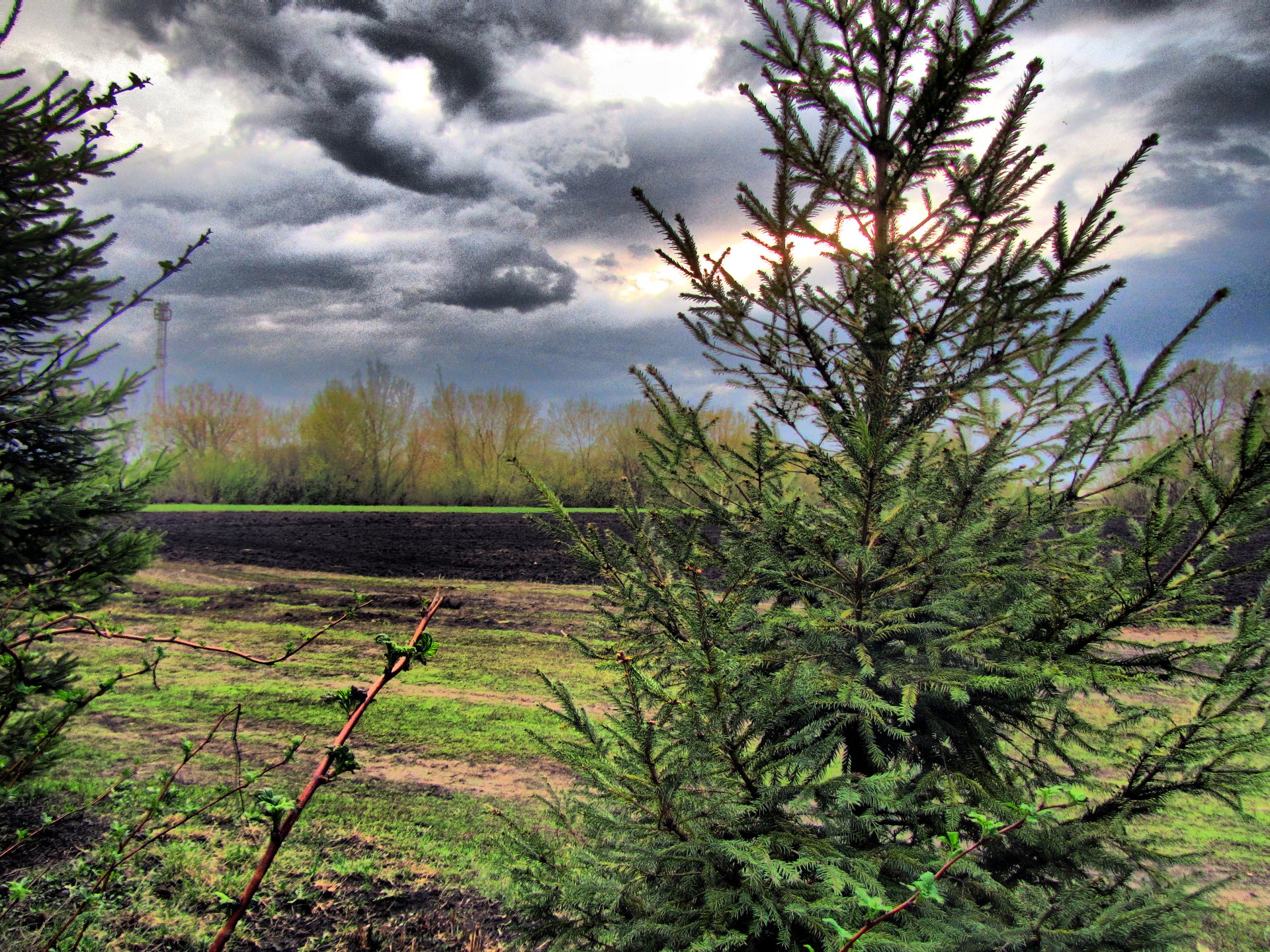 A dramatic HDR photograph captures a lush landscape with evergreen trees in the foreground, set against a brooding sky and a distant field.