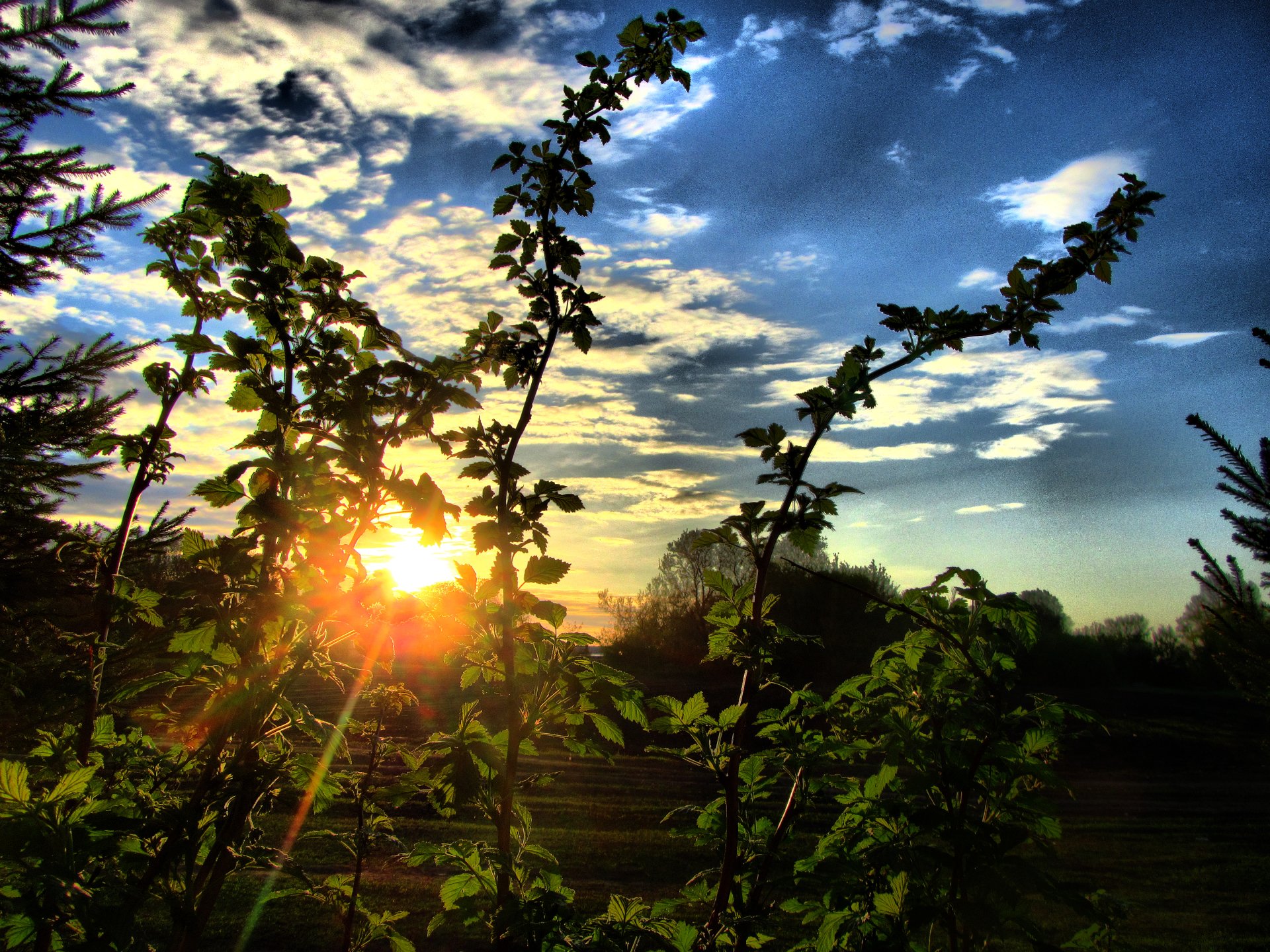 Download Nature Sunrise Image by Vergilius