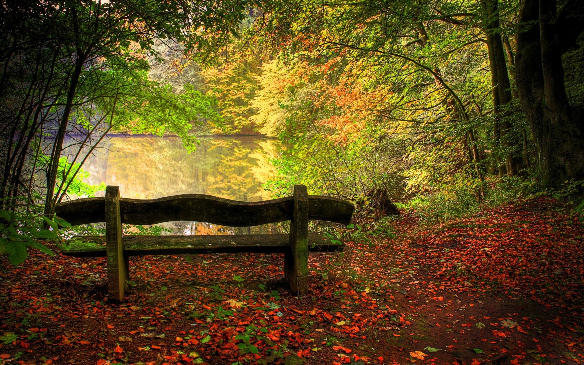 A rustic wooden bench sits in a tranquil forest, surrounded by colorful autumn leaves, overlooking a serene body of water in the background.