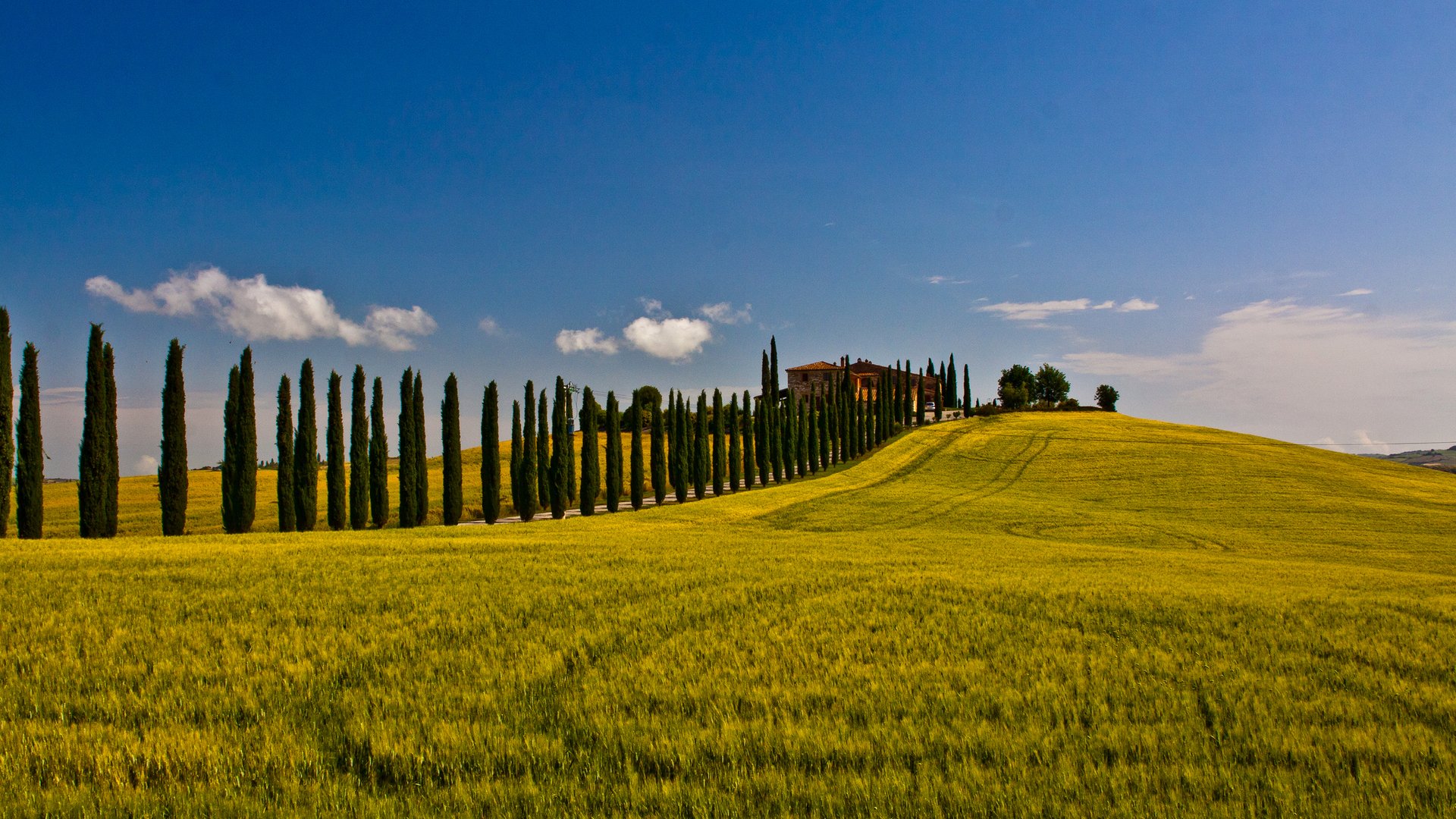 photography Tuscany Image