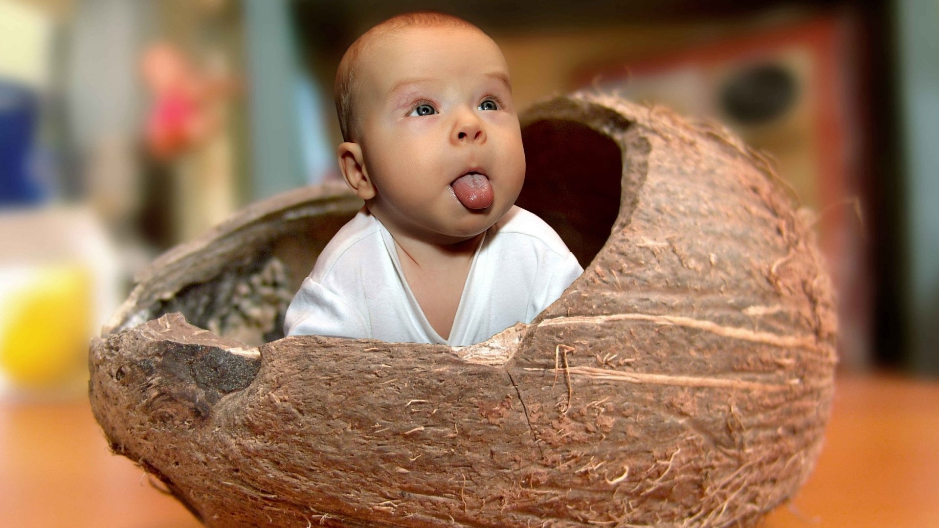  Baby Coconut