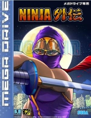 video game Ninja Gaiden Image