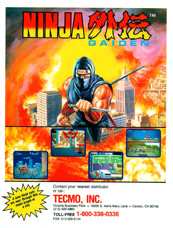 video game Ninja Gaiden Image