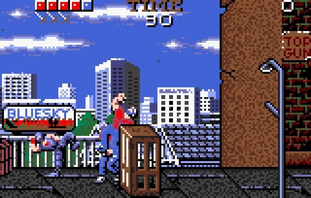 video game Ninja Gaiden Image