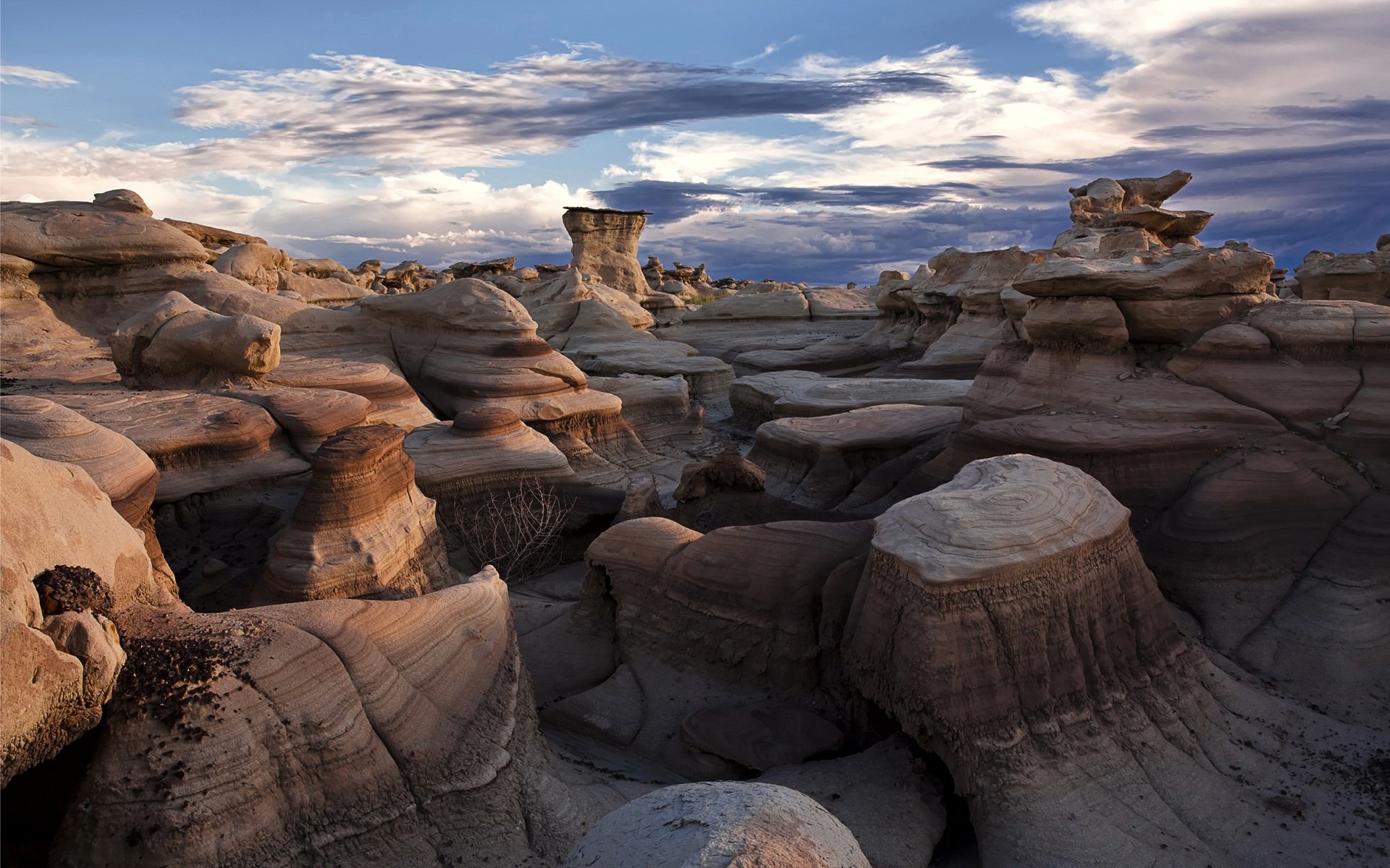 Bisti/De-Na-Zin Wilderness, New Mexico Image - ID: 278509 - Image Abyss