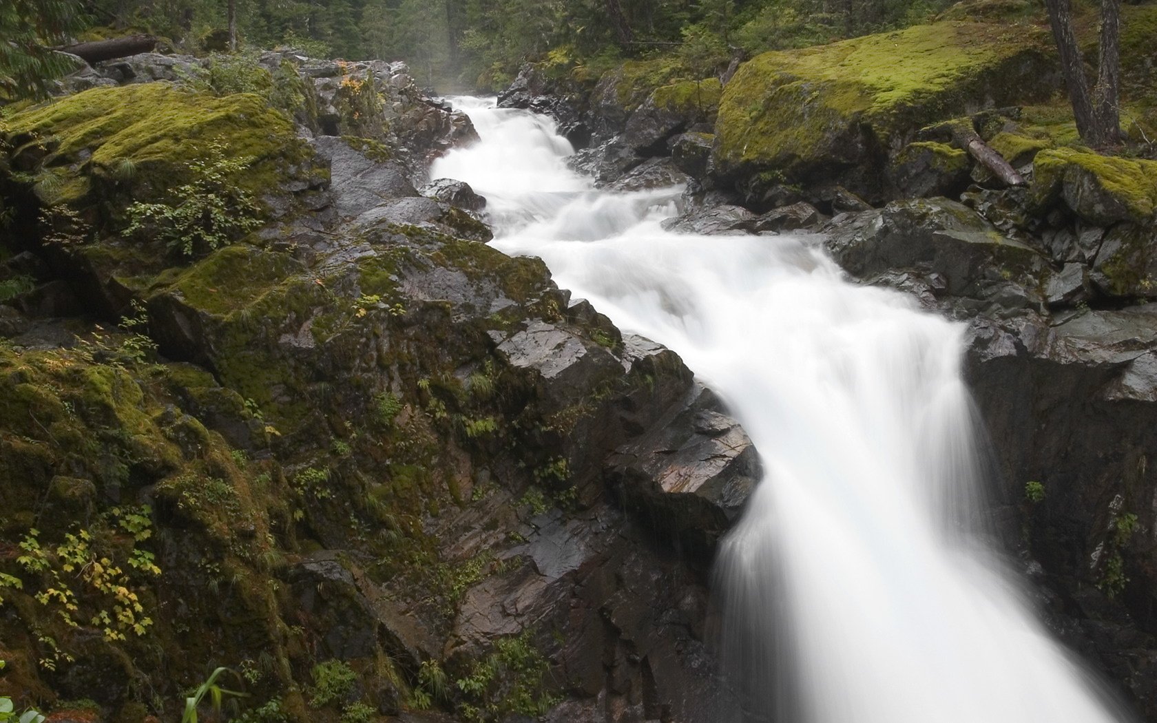 Nature scene: a narrow waterfall rushing between moss-covered rocks through a lush forest stream.