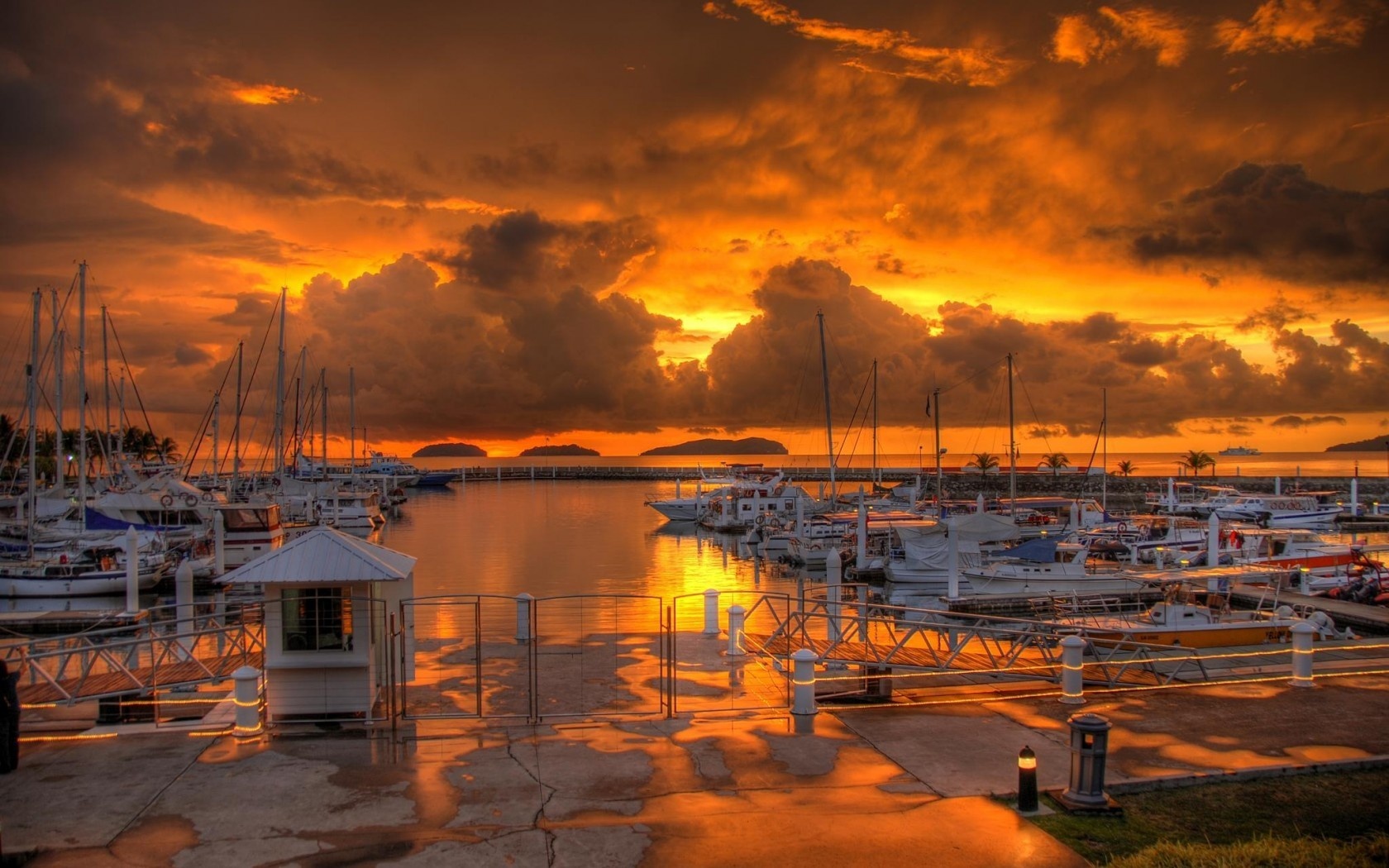 Harbor Picture