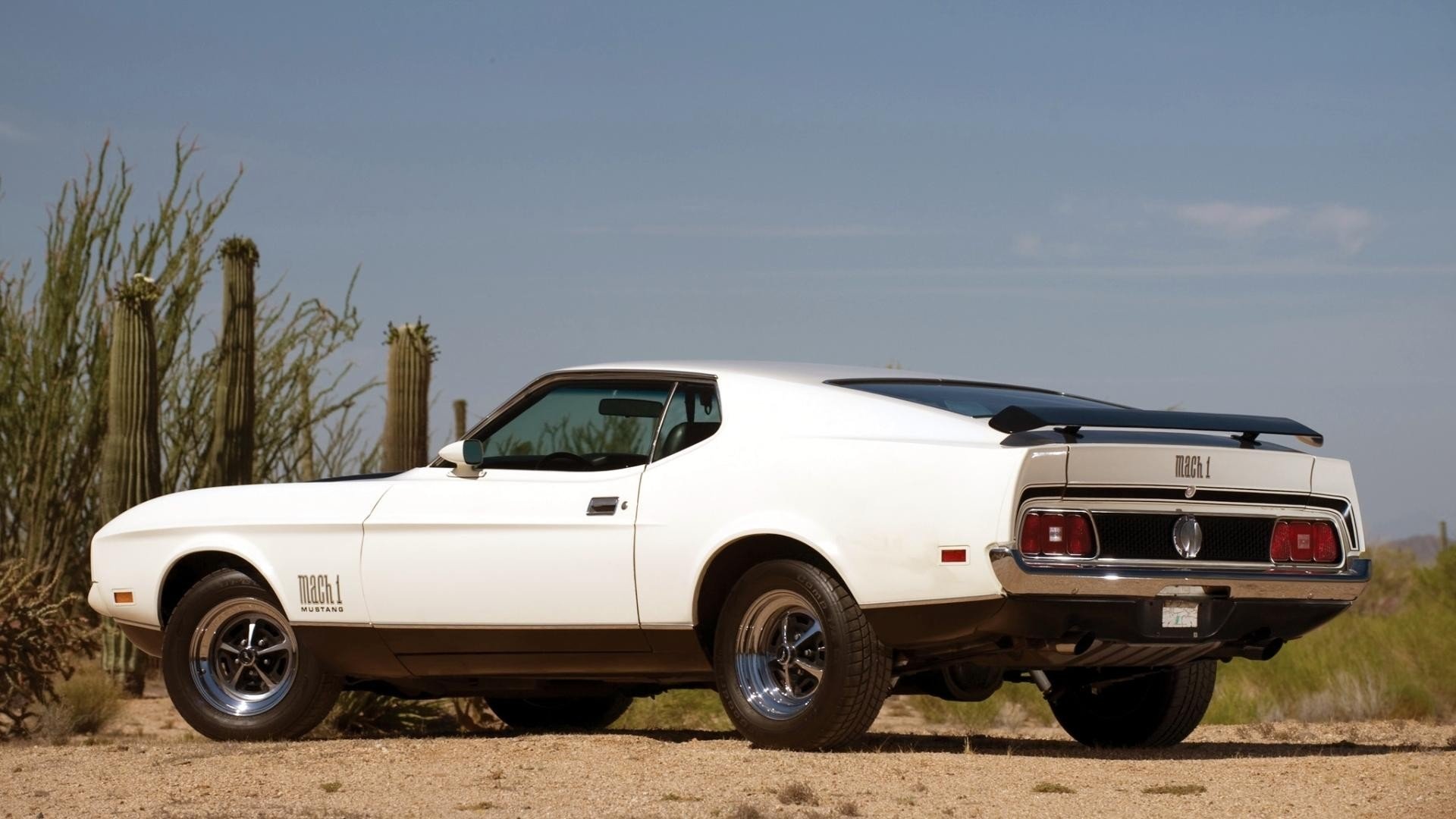 vehicle Ford Mustang Mach 1 Image