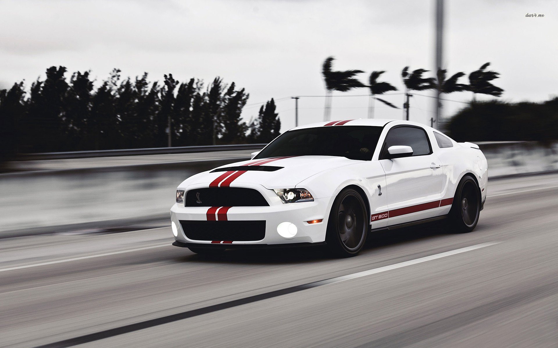 vehicle Ford Mustang GT500 Image
