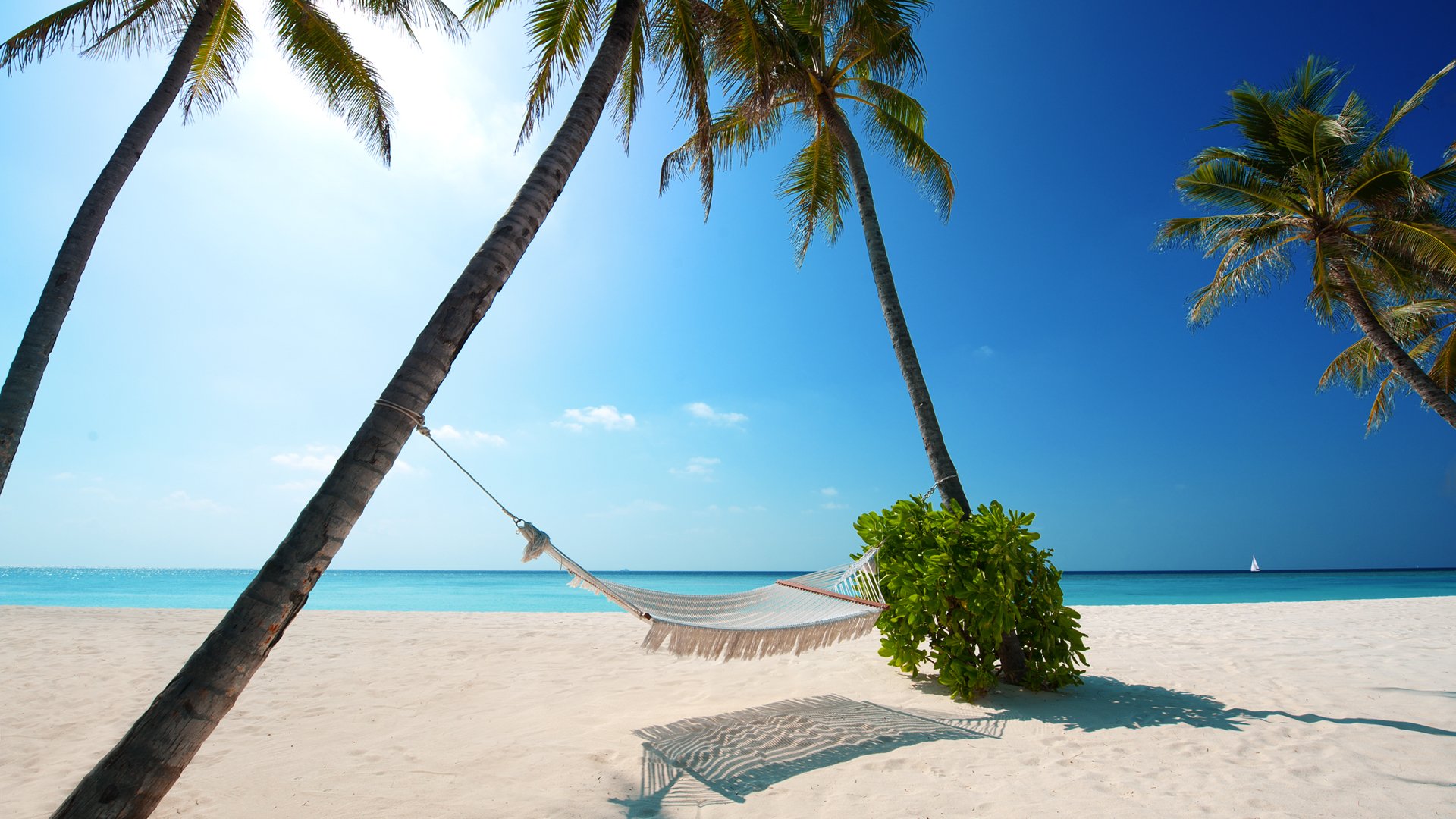 Holiday photography: sunlit tropical beach with white sand, turquoise sea, palm trees and a hammock strung between two palms under a clear blue sky.